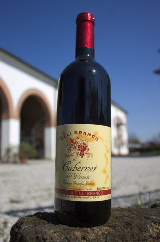 cabernet