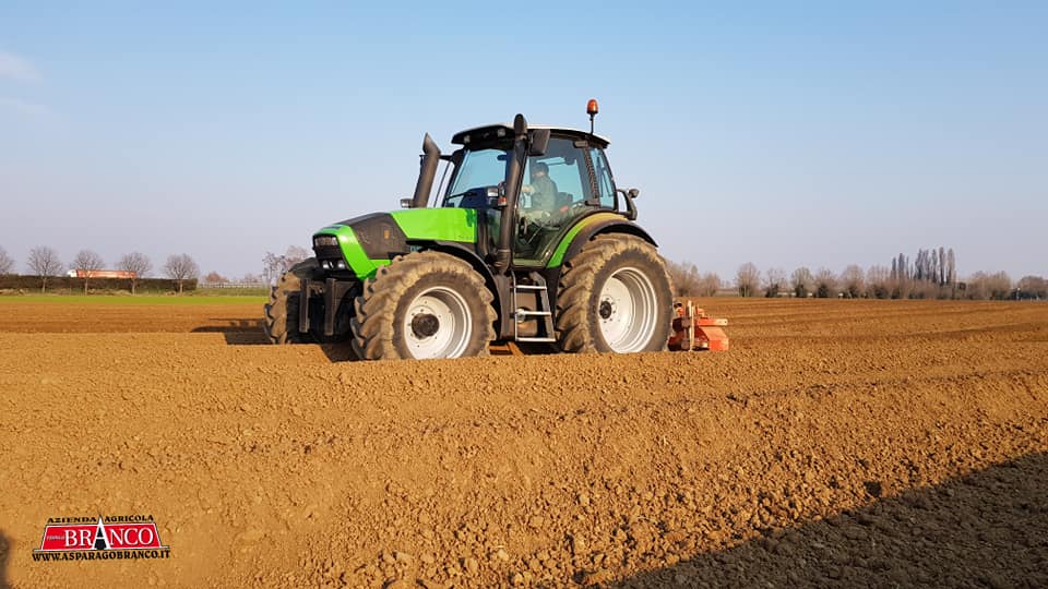 Preparazione del terreno per la stagione 2021 degli asparagi